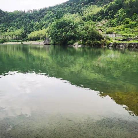 5月浅夏