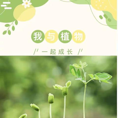 我与植物共成长——米脂县第一中学一年级一班开展植物种植综合实践活动