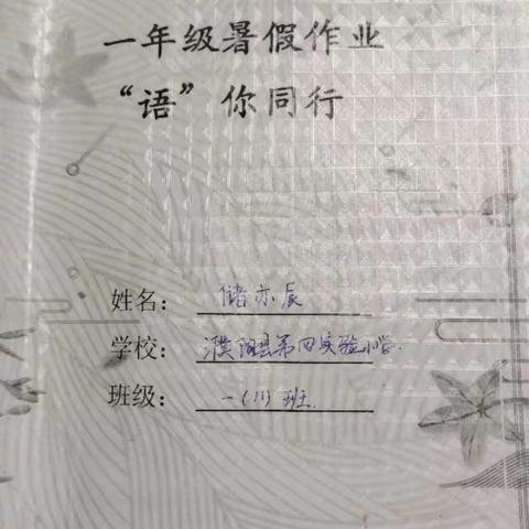 濮阳县第四实验小学一年级11班储亦辰的暑假