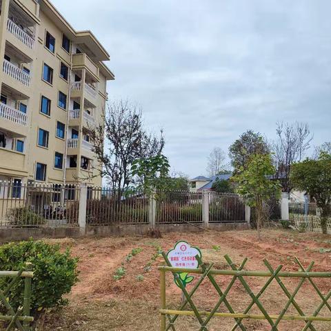 【德育动态·童耕课堂】 探索蚯蚓与土壤的秘密