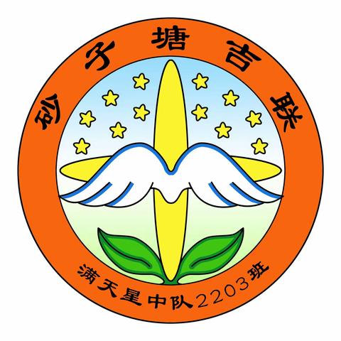 砂子塘吉联小学2203班满天星中队正式成立
