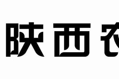 党建+金融  助力乡村振兴