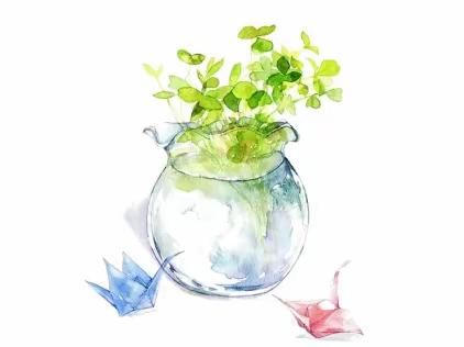 巧设微型生态系统    增强生态文明意识——记我校初二级生物微型生态系统制作比赛活动