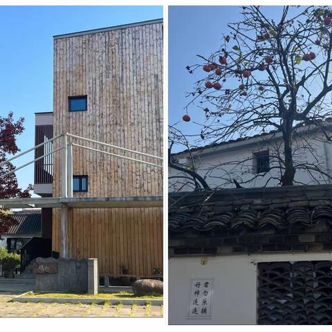 “一季丰盈，硕果累累”——金华永康支行贵宾客户采摘活动