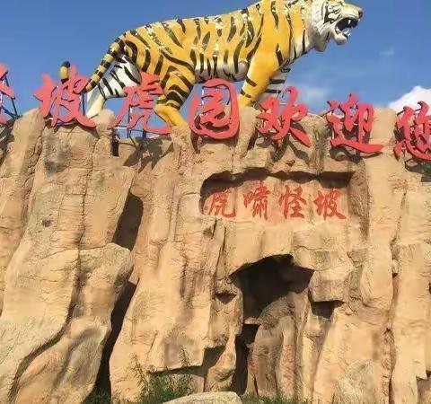 思达幼儿园邀您💫拥抱自然-邂逅秋天🍁