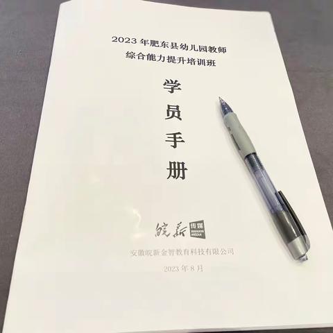 基于《评估指南》背景下的高质量师幼互动策略——2003年肥东县幼儿教师综合能力提升培训