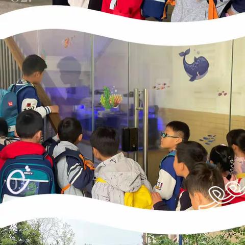 幼小相约，筑梦成长——陆军工程大学双龙街幼儿园参观佳营小学活动