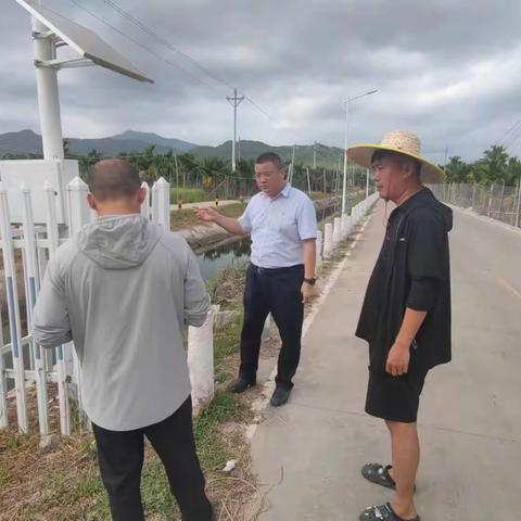 崖州区区委常委、常务副区长区级河湖长林鹏到北干渠大茅段开展安全检查工作