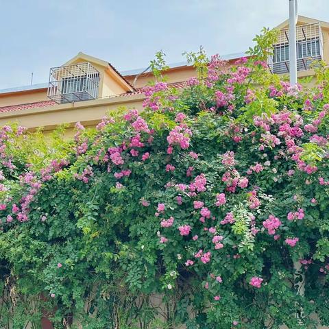 祥城中学家长会—— ﻿一场家校共育的“双向奔赴”