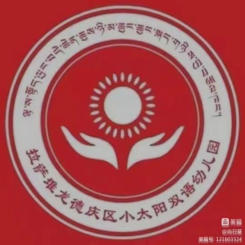 堆龙德庆区小太阳双语幼儿园小二班《我的身体》教学总结