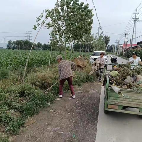 磨台营村:全员齐上阵，打造洁净优美生活环境