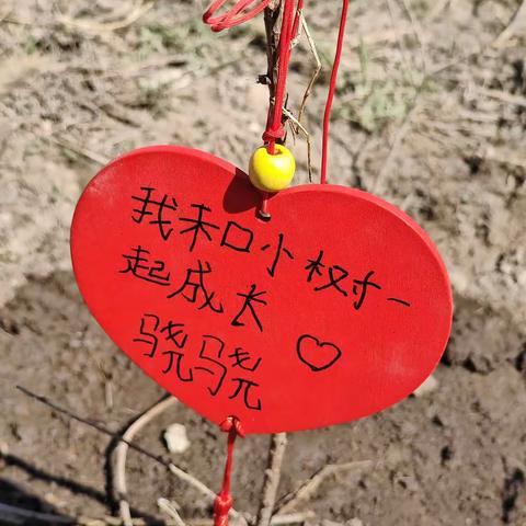 【实小劳动】绿茵伴成长——实验小学一年二班亲子共植实践活动