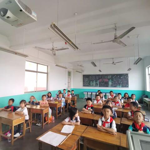 曼山小学 杨廷伟教学反思