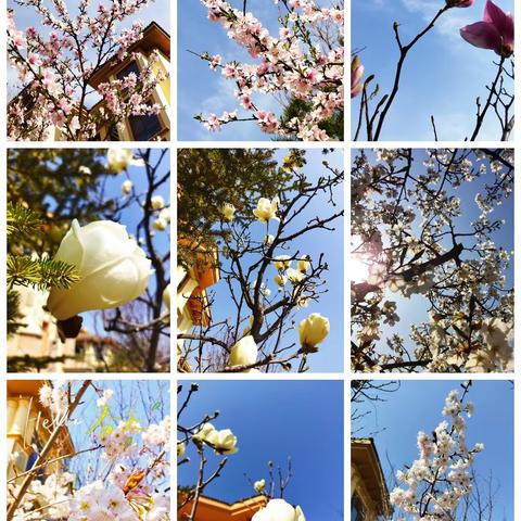 港中旅公馆一期4月份物业服务简报