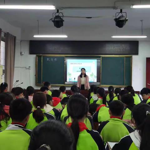 名师引领，共研共学，携手同行——长葛市魏小君小学数学名师工作室十月活动