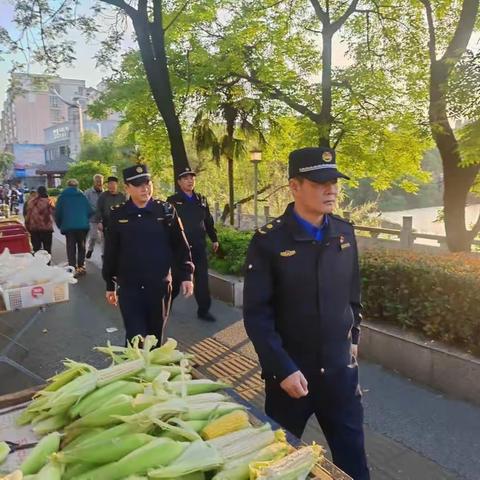 开展集中整治   营造整洁环境