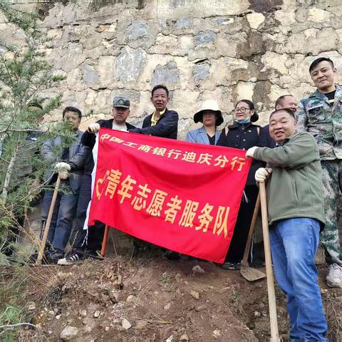 迪庆分行组织青年志愿者开展植树活动