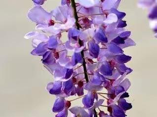 诗意春天“壮”教研     勤耕不辍促发展 ——三明市初中“壮腰”工程学科指导组巡回讲学活动