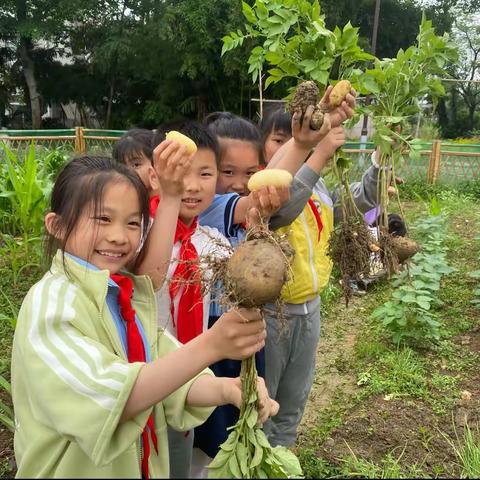 “劳”有所得 ，“育”有成长——记石人乡中心小学三（2）班劳动实践活动