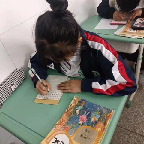 词语听写 展我风采—太平庄镇七家岭小学语文词语听写大赛