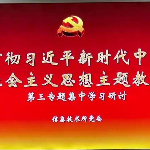 信息技术所党委开展学习贯彻习近平新时代中国特色社会主义思想主题教育第三专题集中学习研讨