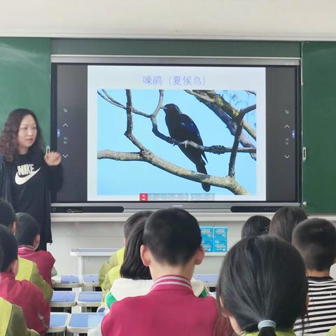 完善保护体系，护佑候鸟迁飞——泉家峪管理站开展“爱鸟周”进校园活动