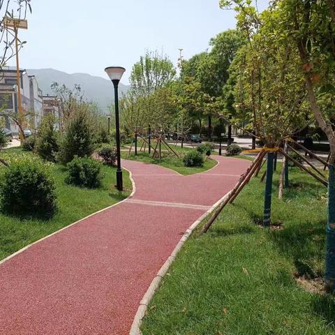 乡村振兴聚合力，美丽山任焕新颜