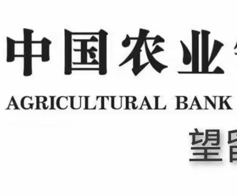 普及金融知识，守住钱袋子——望留农行开展金融知识普及活动