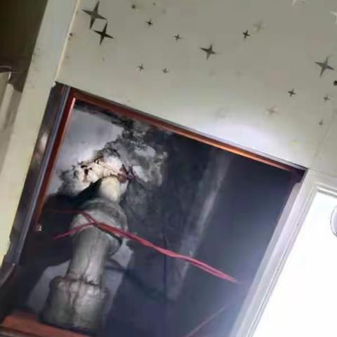 一核五化|幸福社区“小网格”构筑治理“大力量”