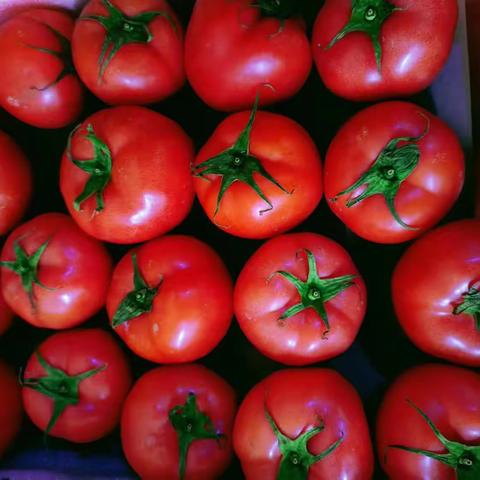 华联品鲜汇生活超市（东益店）周三周四会员日（17日——18日）