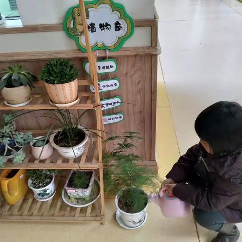 会泽县第二幼儿园劳动教育活动教学剪影