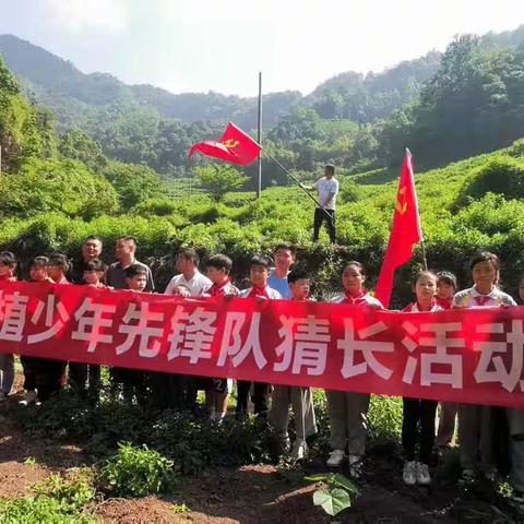 环保童行心向党，爱绿护绿筑生态——中和小学开展认领树木猜长活动