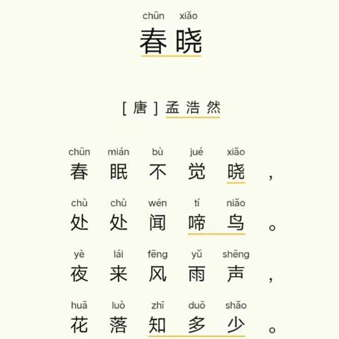 城小格格古诗词打卡《春晓》