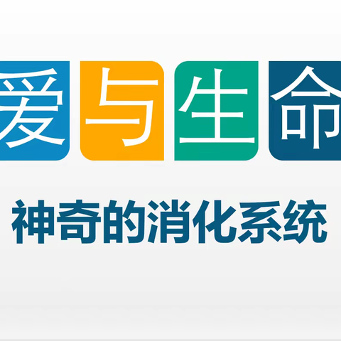 【家校合作共育】瀍河实验家长进课堂第217期——神奇的消化系统