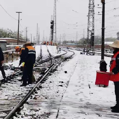 风雪中“踩蘑菇”的汉子们