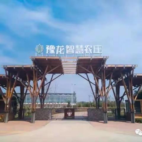 “行走天地课堂乐游智慧农庄”濮阳市实验学校5年级13班研学旅行纪实