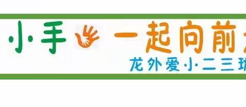 龙外爱小二3班“大手拉小手🤝一起向前走”冬游活动