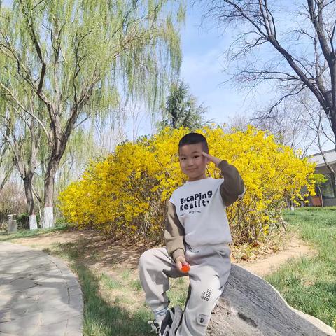 走进绘本故事 聆听最美童声——新城镇中心幼儿园绘本故事分享活动