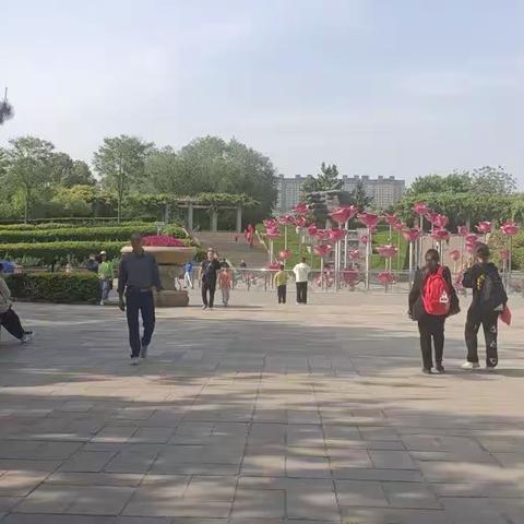 济南《森林公园》