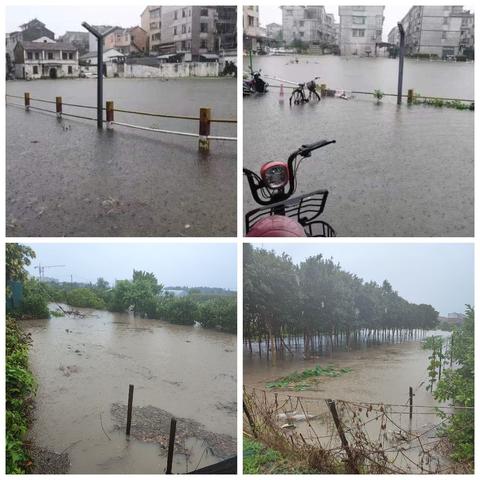 风雨同舟，责任在肩