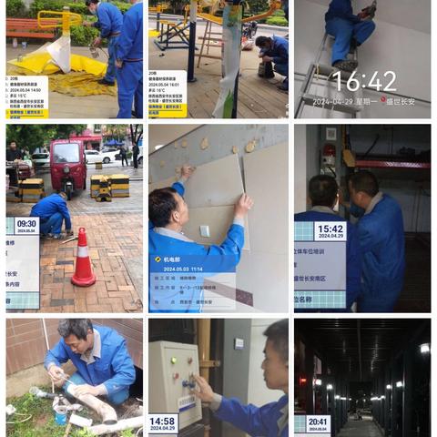 盛世长安5月第一周周报