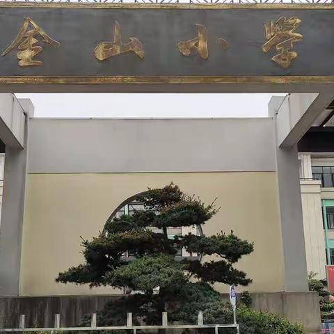 跟岗培训同学习   以行促思共成长