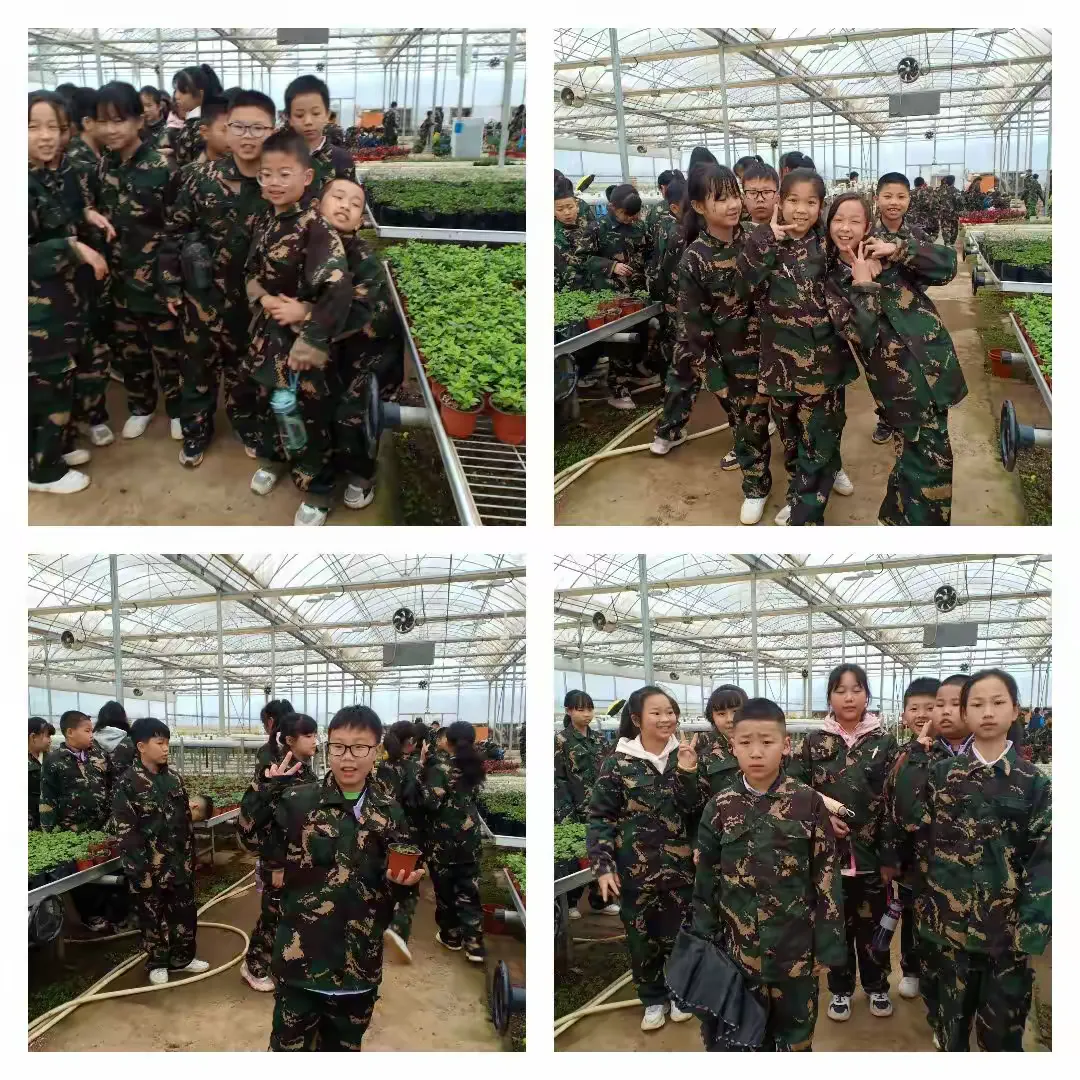 简篇-秀峰路学校1806班综合实践活动
