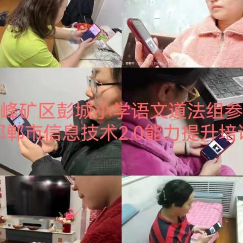 彭城小学参加《学科工具助力数学思维可视化》培训