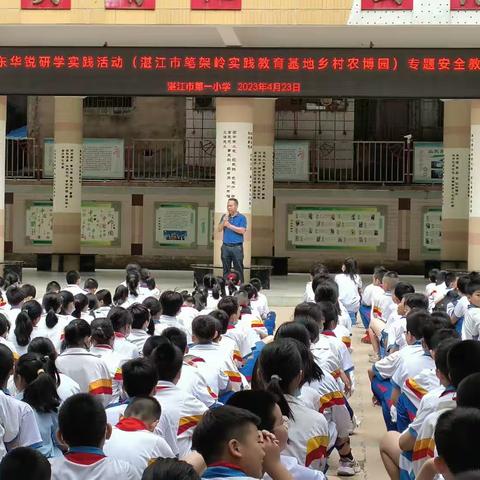 雏鹰展翅欲飞翔，研思悟学促成长——湛江市第一小学六二班研学活动纪实