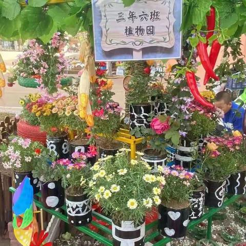 太平区实验小学首届劳动节“旧物与设计共舞 创意与环保并行”——小小科普环保植物园