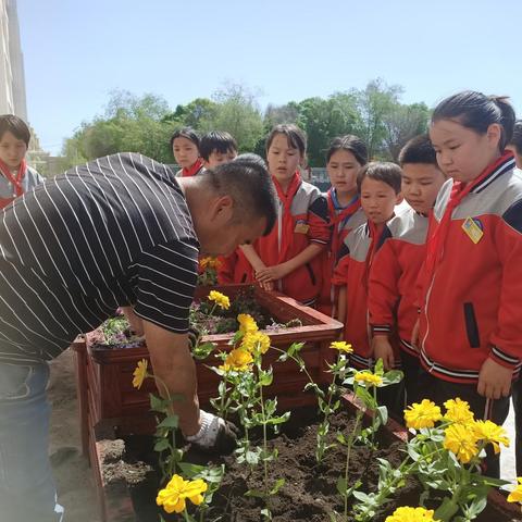 师生共植花卉 共建美丽学校 ——托里县第一小学开展劳动实践活动