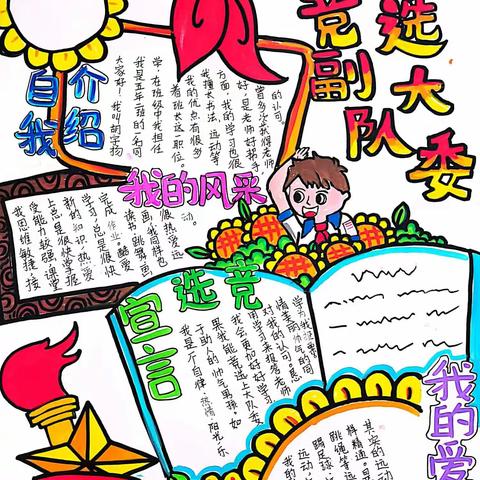 漳浦县大南坂学校少先队竞选活动
