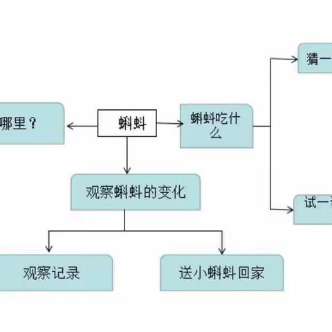 【西秀区虹轴幼儿园】中四班课程故事——遇见·小蝌蚪