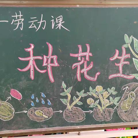 佳佳幼儿园“快乐种植”之小班劳动体验活动《种花生》